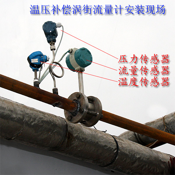 溫壓補(bǔ)償渦街流量計(jì)(圖2) 帶溫壓補(bǔ)償渦街安裝示意圖